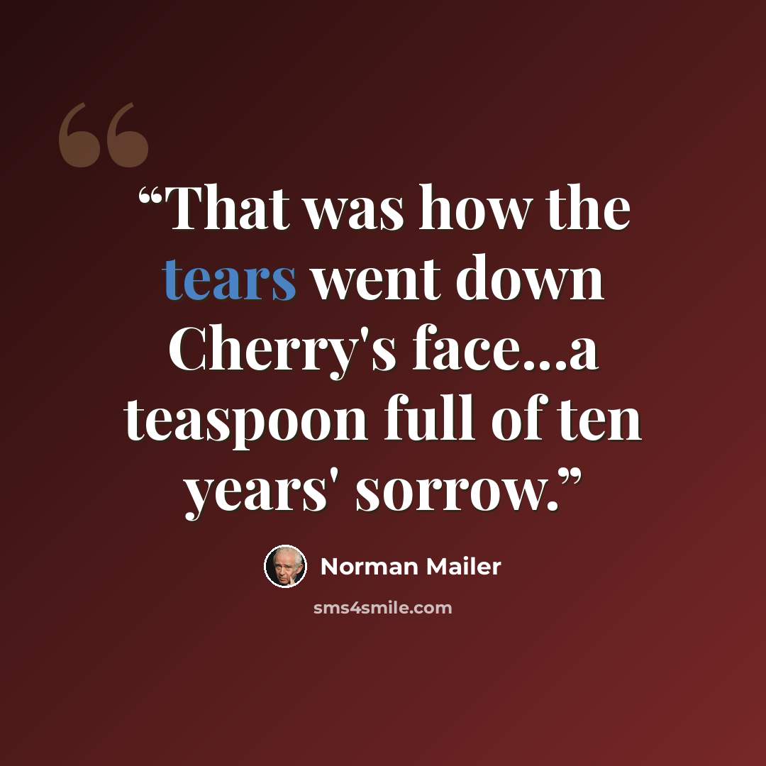 “That was how the tears went down Cherry's face...a teaspoon full of ten years' sorrow.” quote by Norman Mailer