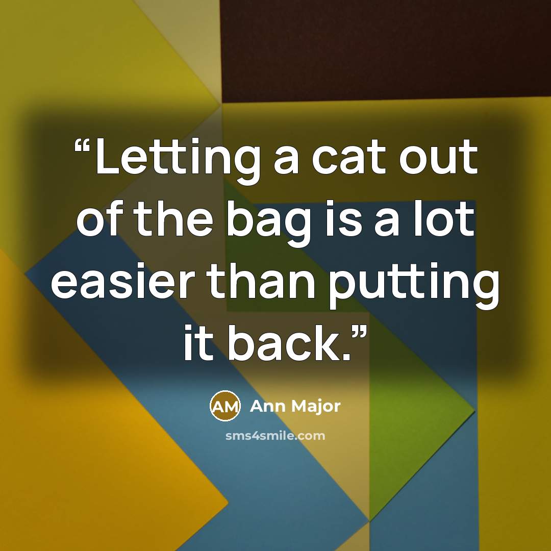 “Letting a cat out of the bag is a lot easier than putting it back.” quote by Ann Major