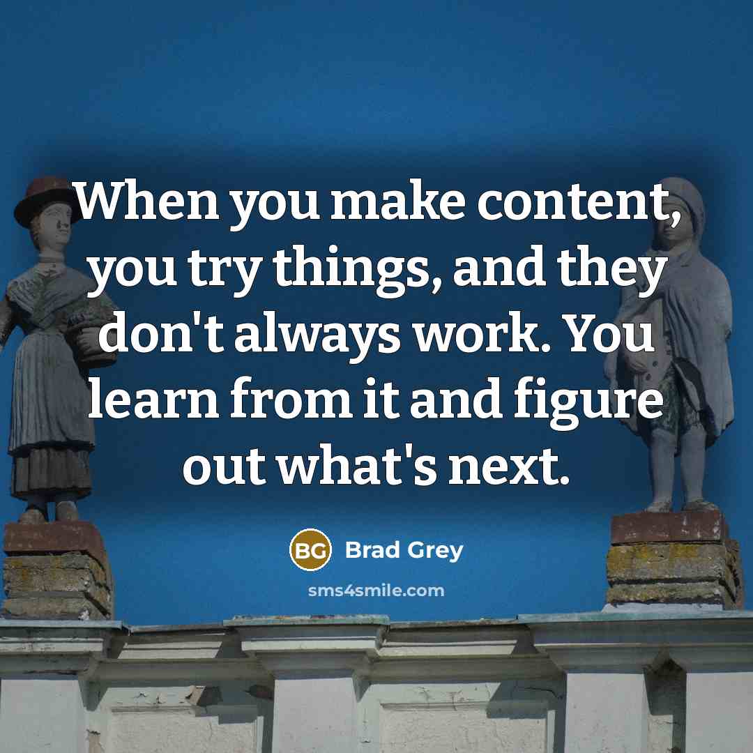 “When you make content, you try things, and they don't always work. You learn from it and figure out what's next.” quote by Brad Grey