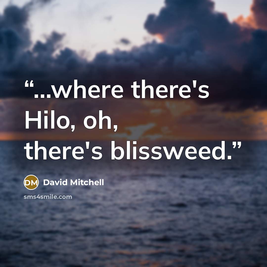 “...where there's Hilo, oh, there's blissweed.” quote by David Mitchell