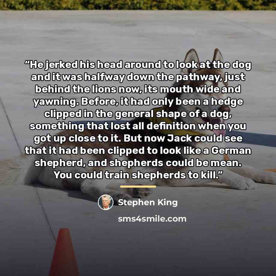 “He jerked his head around to look at the dog and it was halfway down the pathway, just behind the lions now, its mouth wide and yawning. Before, it had only been a hedge clipped in the general shape of a dog, something that lost all definition when you got up close to it. But now Jack could see…” quote by Stephen King