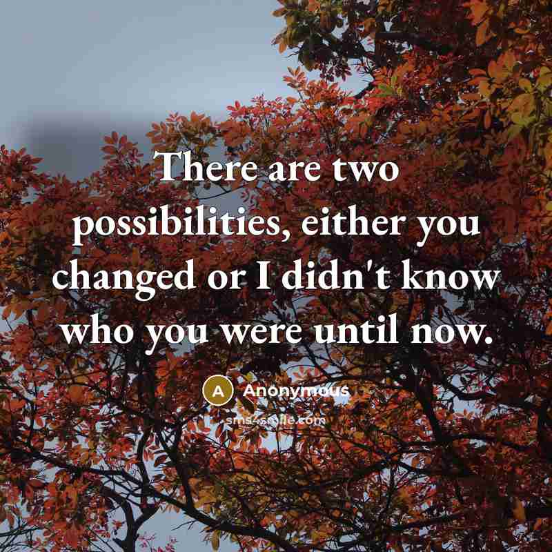 “There are two possibilities, either you changed or I didn't know who you were until now.” quote by Anonymous