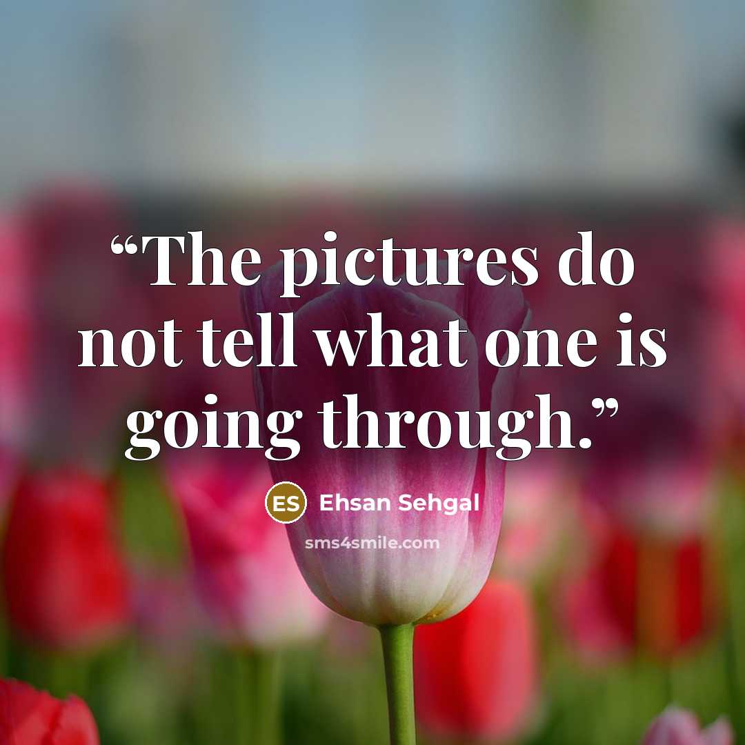 “The pictures do not tell what one is going through.” quote by Ehsan Sehgal