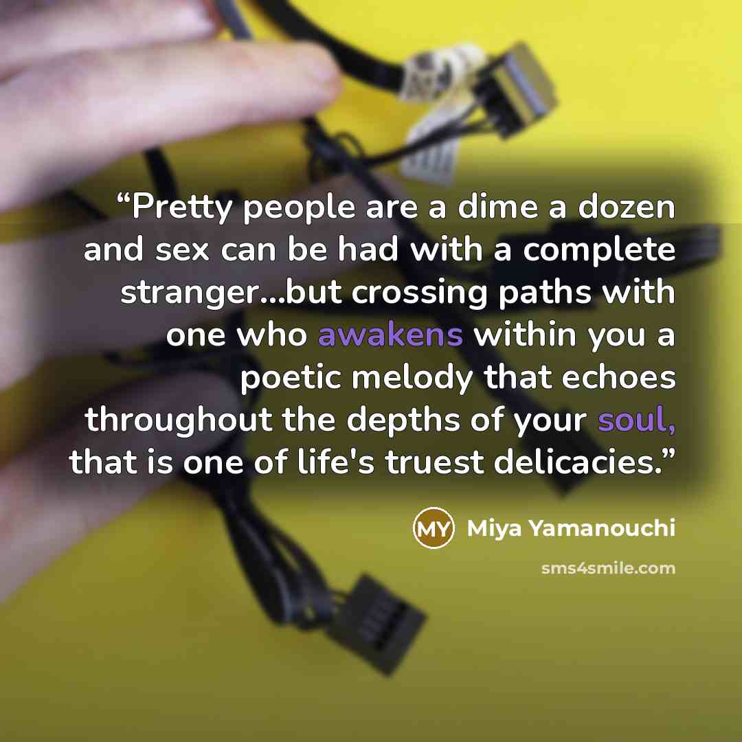 “Pretty people are a dime a dozen and sex can be had with a complete stranger…but crossing paths with one who awakens within you a poetic melody that echoes throughout the depths of your soul, that is one of life's truest delicacies.” quote by Miya Yamanouchi