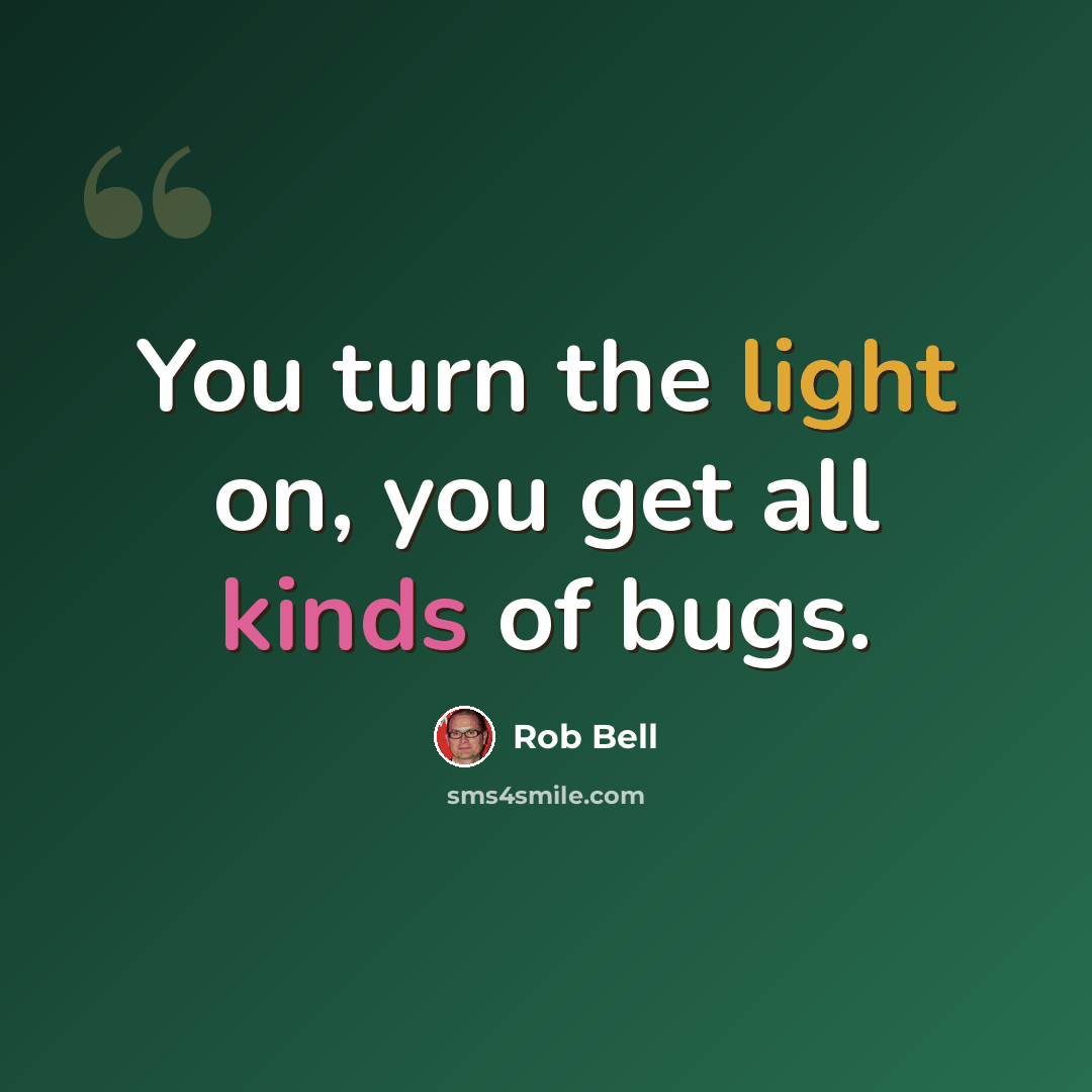 “You turn the light on, you get all kinds of bugs.” quote by Rob Bell