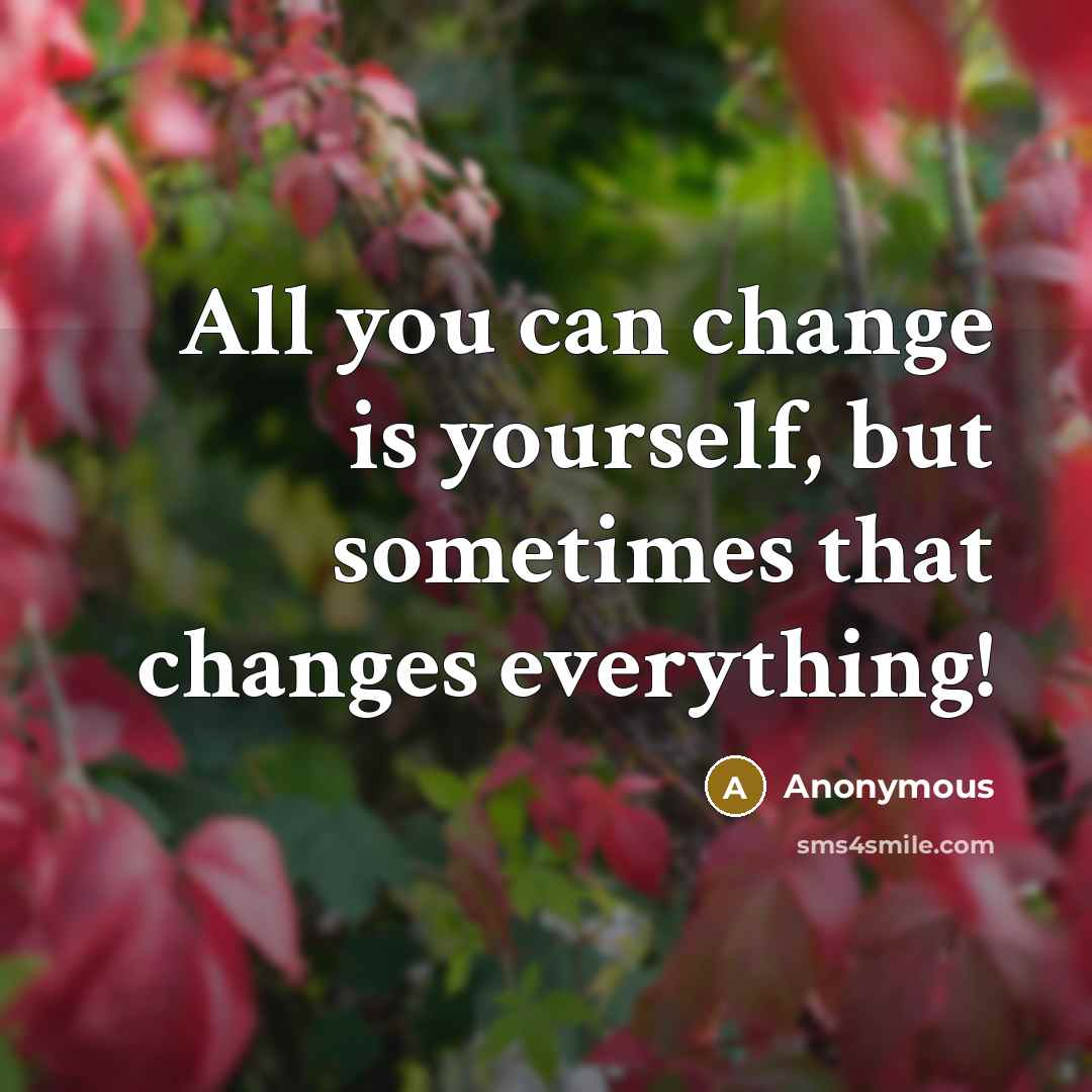 “All you can change is yourself, but sometimes that changes everything!” quote by Anonymous