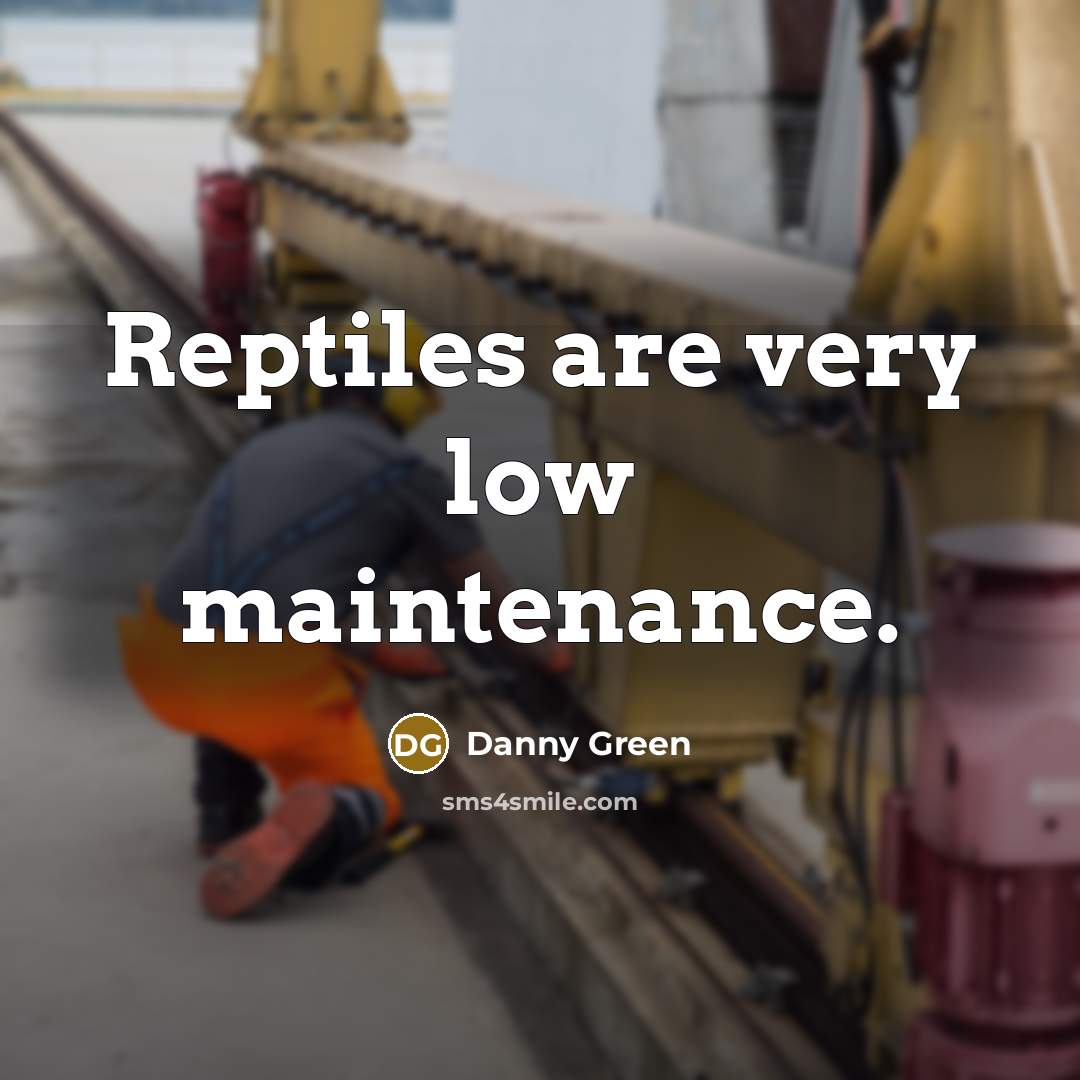 “Reptiles are very low maintenance.” quote by Danny Green
