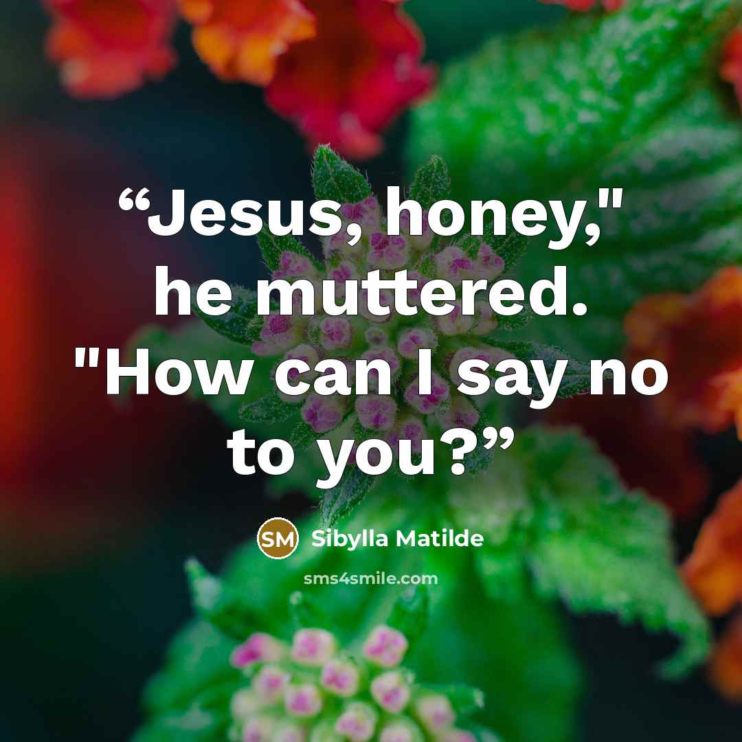 “Jesus, honey," he muttered. "How can I say no to you?” quote by Sibylla Matilde