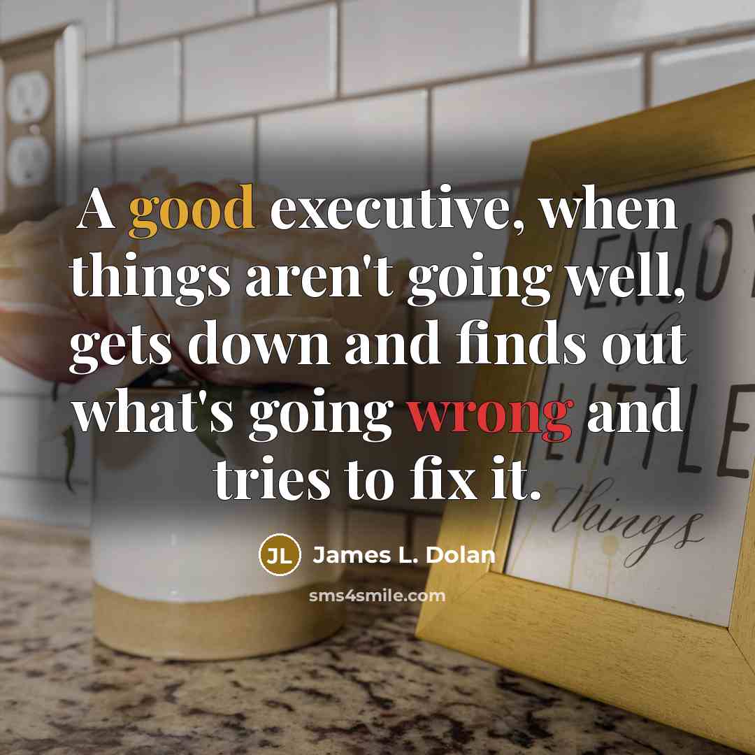 “A good executive, when things aren't going well, gets down and finds out what's going wrong and tries to fix it.” quote by James L. Dolan