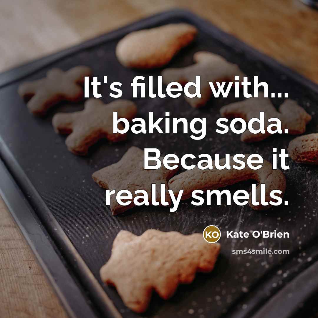 “It's filled with... baking soda. Because it really smells.” quote by Kate O'Brien