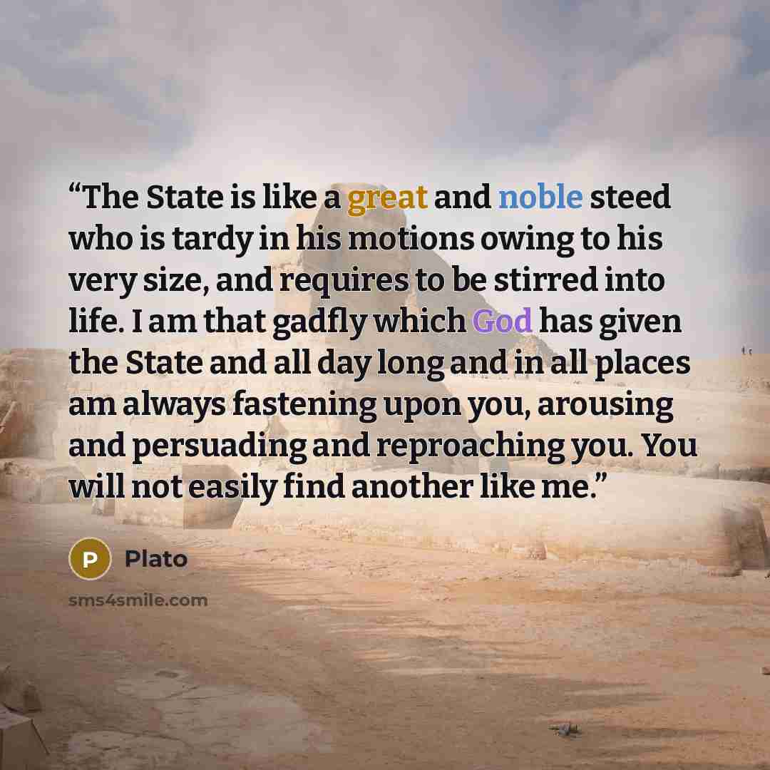 “The State is like a great and noble steed who is tardy in his motions owing to his very size, and requires to be stirred into life. I am that gadfly which God has given the State and all day long and in all places am always fastening upon you, arousing and persuading and reproaching you. You will…” quote by Plato