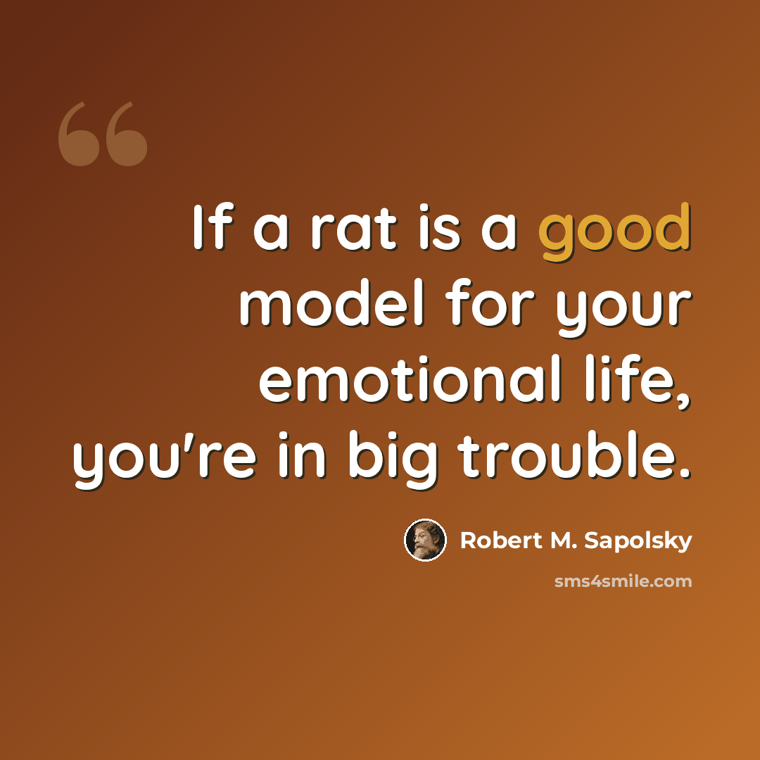 “If a rat is a good model for your emotional life, you're in big trouble.” quote by Robert M. Sapolsky