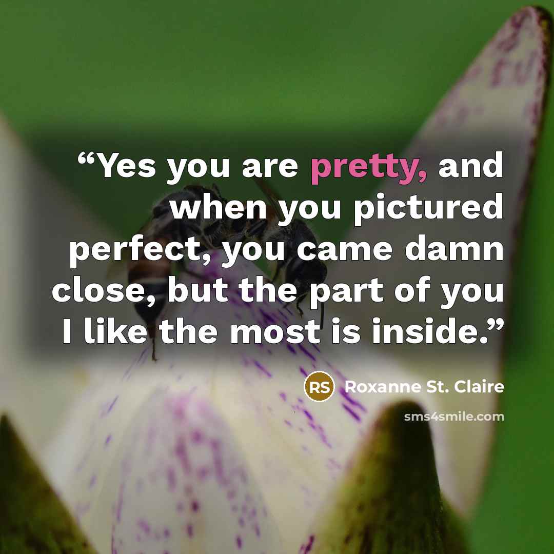 “Yes you are pretty, and when you pictured perfect, you came damn close, but the part of you I like the most is inside.” quote by Roxanne St. Claire