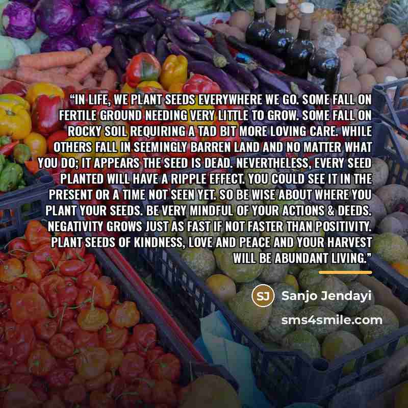 “In life, we plant seeds everywhere we go. Some fall on fertile ground needing very little to grow. Some fall on rocky soil requiring a tad bit more loving care. While others fall in seemingly barren land and no matter what you do; it appears the seed is dead. Nevertheless, every seed planted will…” quote by Sanjo Jendayi