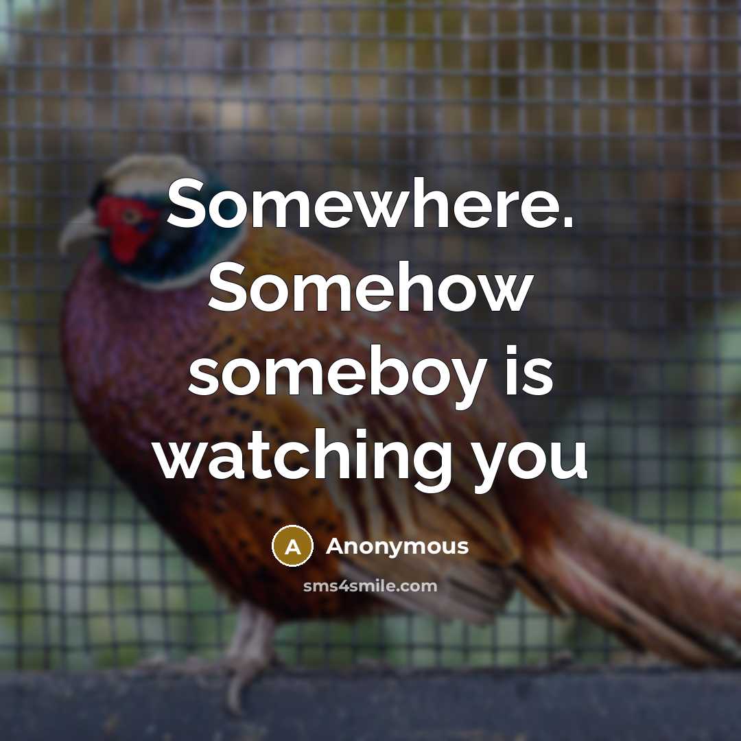 “Somewhere. Somehow someboy is watching you” quote by Anonymous