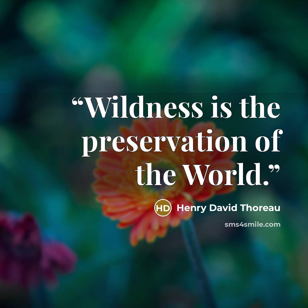 “Wildness is the preservation of the World.” quote by Henry David Thoreau