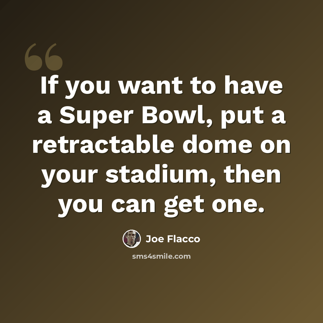 “If you want to have a Super Bowl, put a retractable dome on your stadium, then you can get one.” quote by Joe Flacco