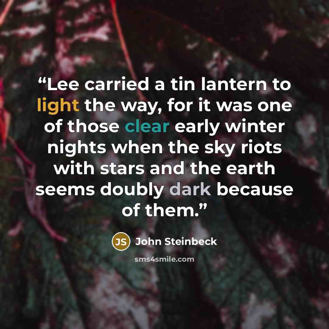 “Lee carried a tin lantern to light the way, for it was one of those clear early winter nights when the sky riots with stars and the earth seems doubly dark because of them.” quote by John Steinbeck
