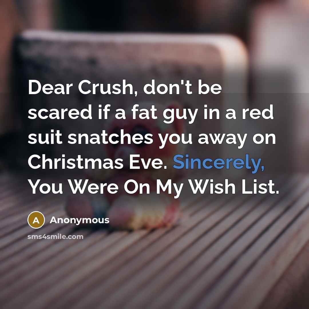 “Dear Crush, don't be scared if a fat guy in a red suit snatches you away on Christmas Eve. Sincerely, You Were On My Wish List.” quote by Anonymous