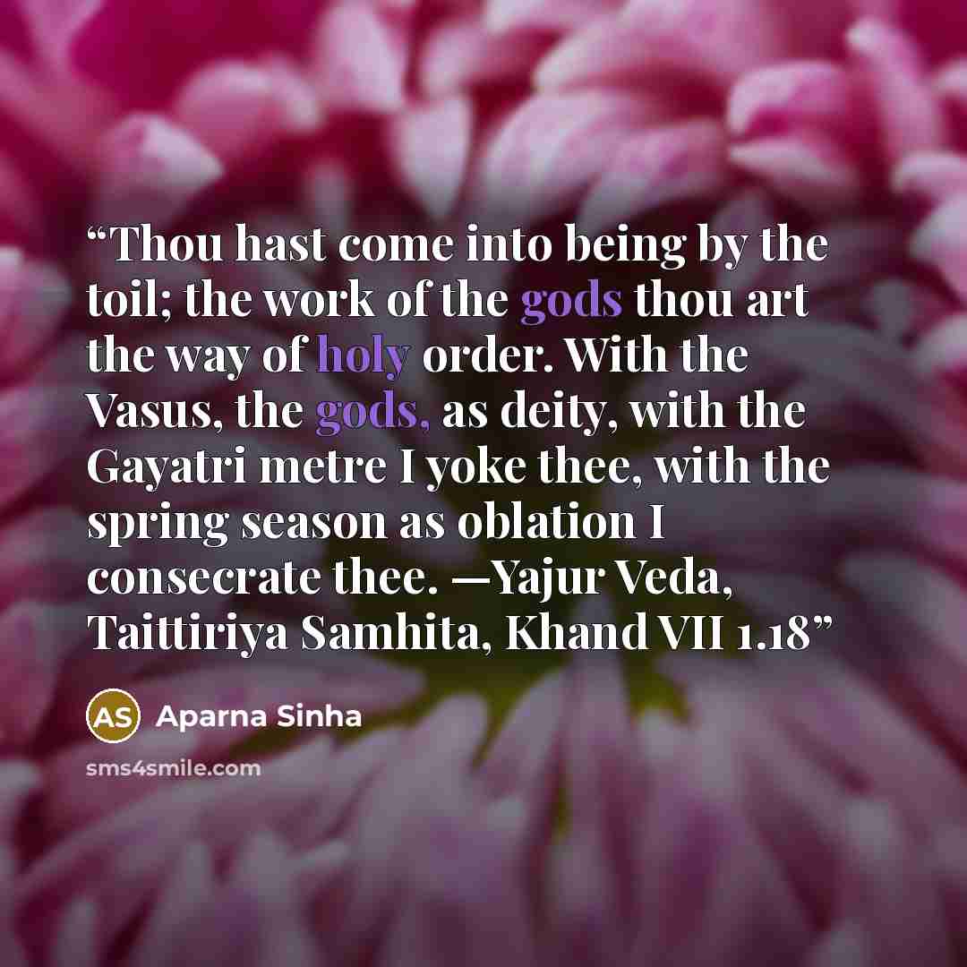 “Thou hast come into being by the toil; the work of the gods thou art the way of holy order. With the Vasus, the gods, as deity, with the Gayatri metre I yoke thee, with the spring season as oblation I consecrate thee. —Yajur Veda, Taittiriya Samhita, Khand VII 1.18” quote by Aparna Sinha