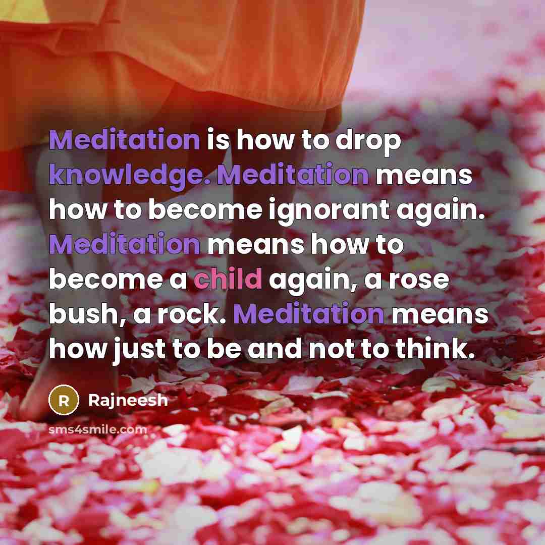 “Meditation is how to drop knowledge. Meditation means how to become ignorant again. Meditation means how to become a child again, a rose bush, a rock. Meditation means how just to be and not to think.” quote by Rajneesh