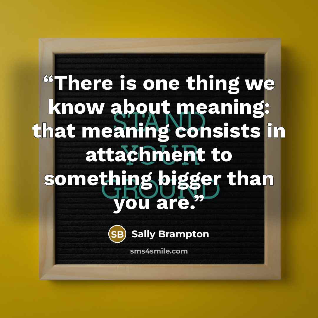 “There is one thing we know about meaning: that meaning consists in attachment to something bigger than you are.” quote by Sally Brampton