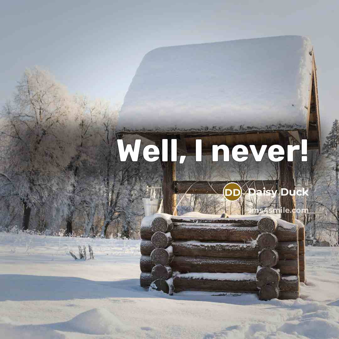 “Well, I never!” quote by Daisy Duck