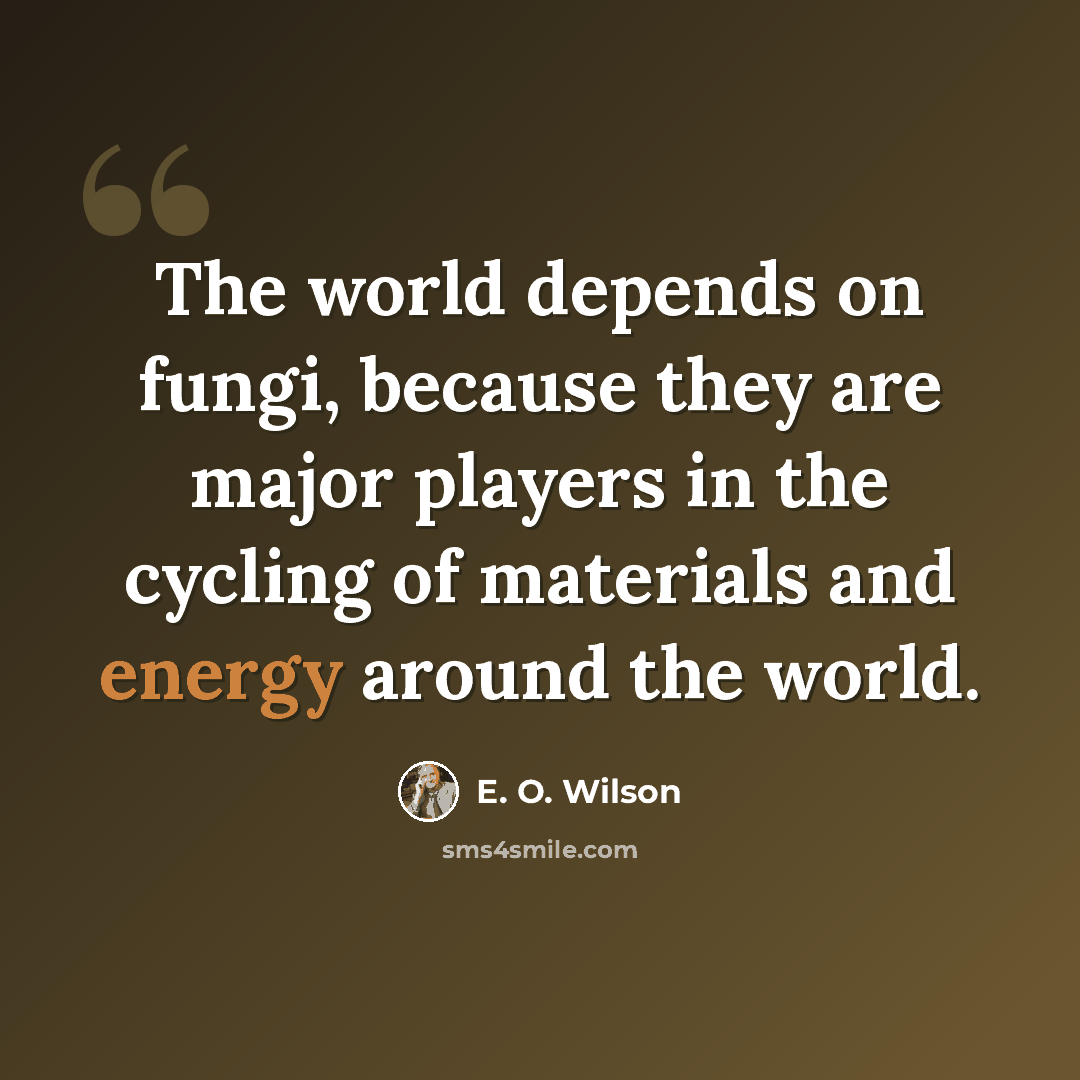 “The world depends on fungi, because they are major players in the cycling of materials and energy around the world.” quote by E. O. Wilson