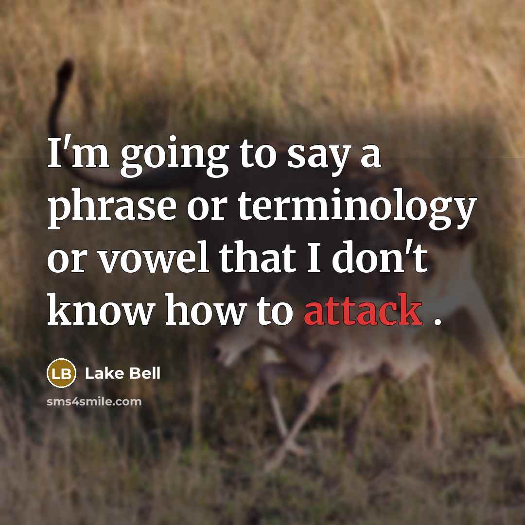 “I'm going to say a phrase or terminology or vowel that I don't know how to attack .” quote by Lake Bell