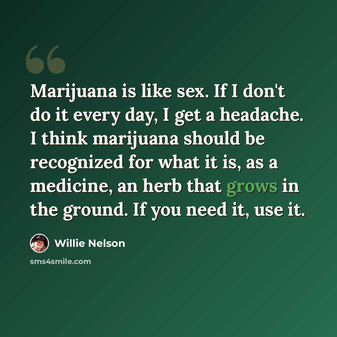 “Marijuana is like sex. If I don't do it every day, I get a headache. I think marijuana should be recognized for what it is, as a medicine, an herb that grows in the ground. If you need it, use it.” quote by Willie Nelson