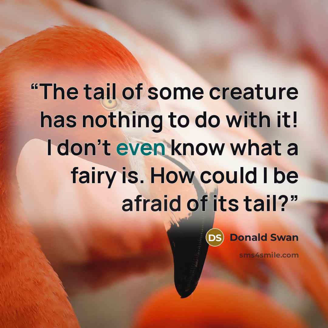 “The tail of some creature has nothing to do with it! I don’t even know what a fairy is. How could I be afraid of its tail?” quote by Donald Swan