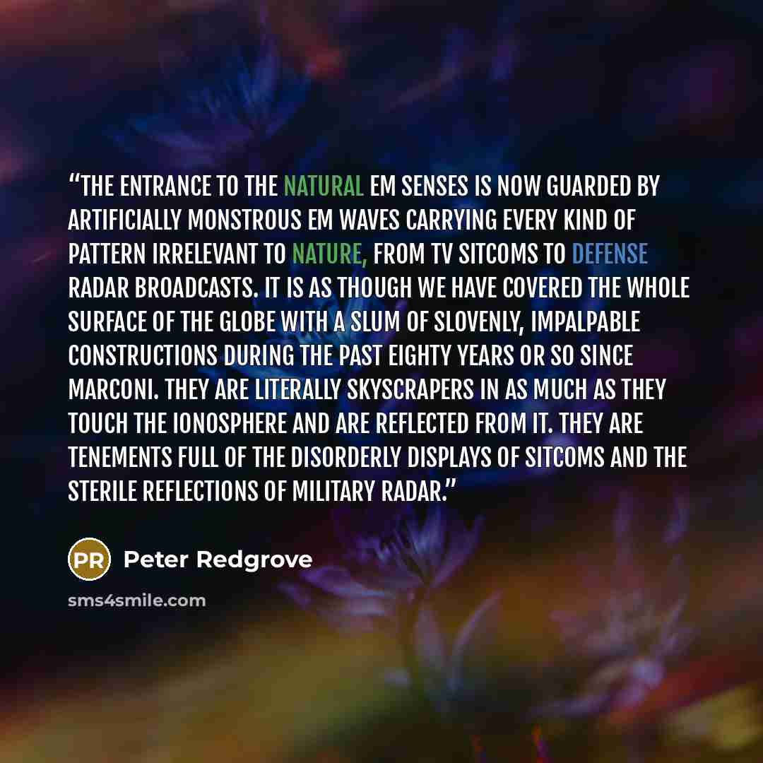 “The entrance to the natural EM senses is now guarded by artificially monstrous EM waves carrying every kind of pattern irrelevant to nature, from TV sitcoms to defense radar broadcasts. It is as though we have covered the whole surface of the globe with a slum of slovenly, impalpable constructions…” quote by Peter Redgrove