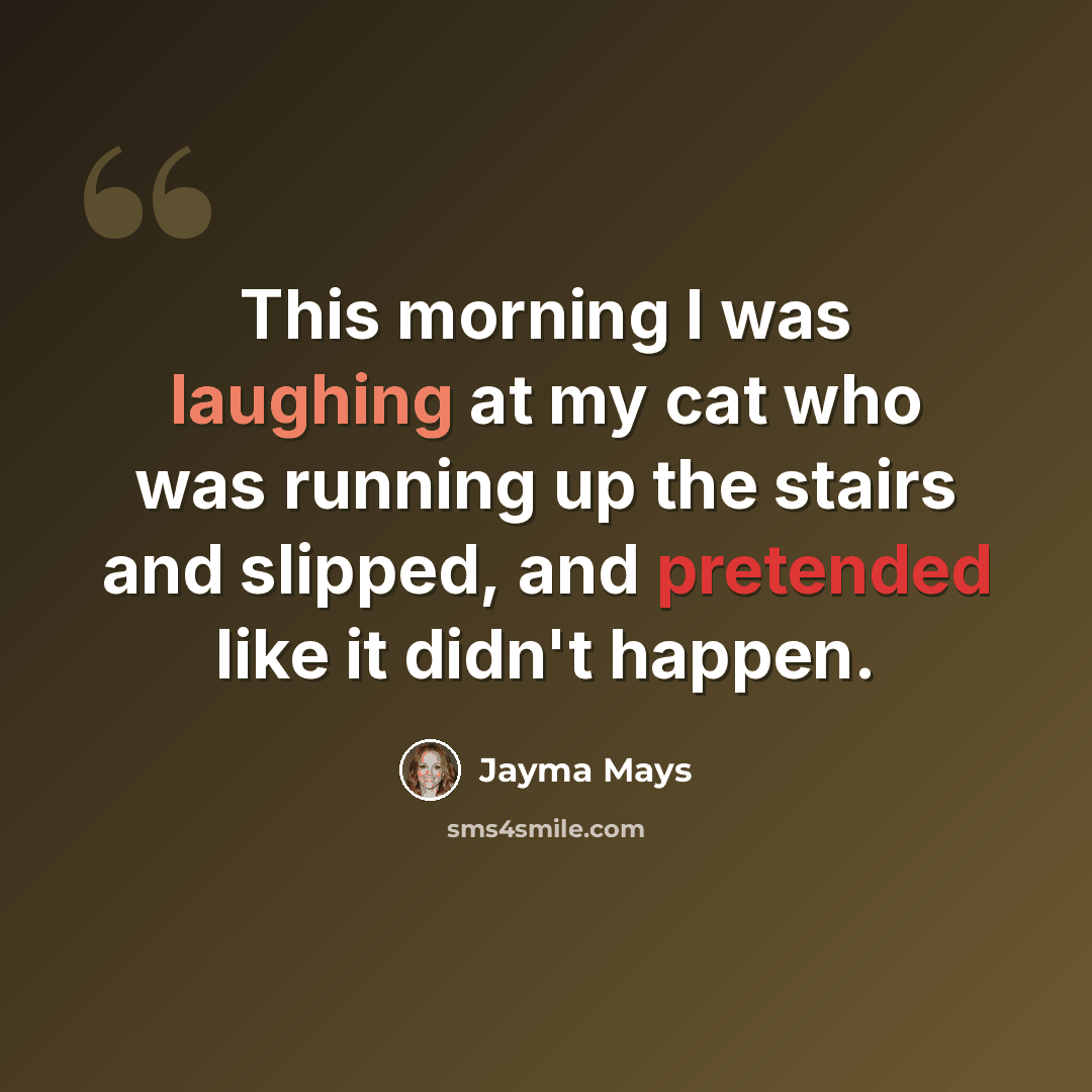 “This morning I was laughing at my cat who was running up the stairs and slipped, and pretended like it didn't happen.” quote by Jayma Mays