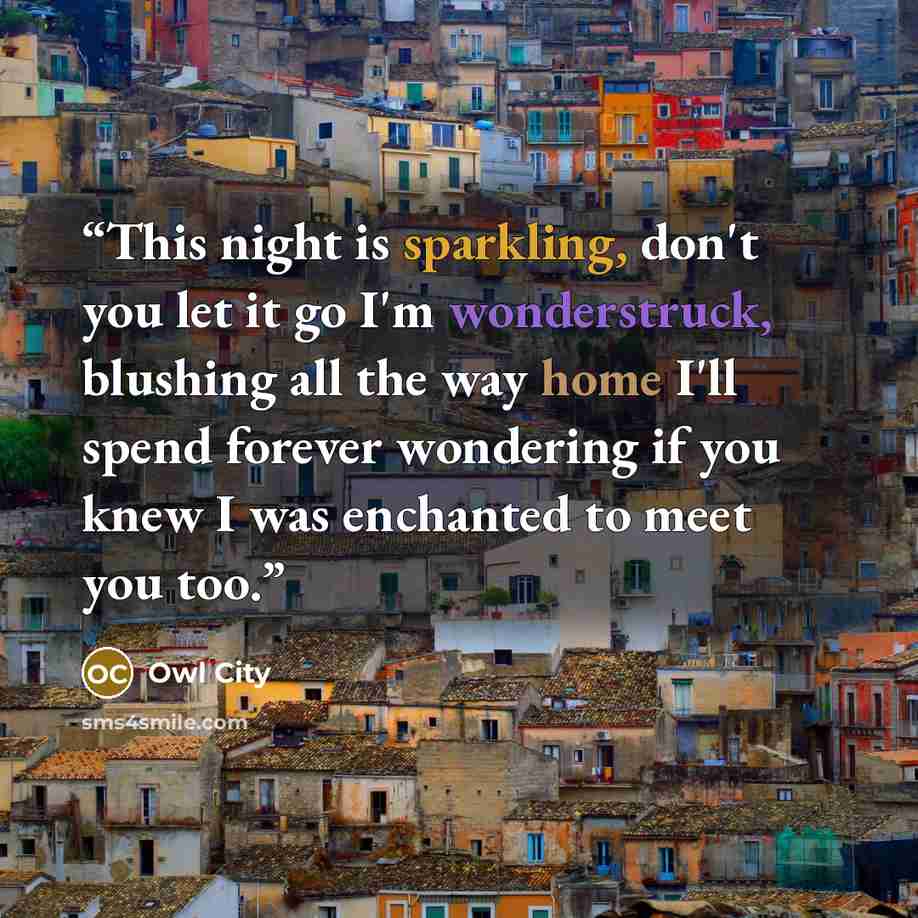 “This night is sparkling, don't you let it go I'm wonderstruck, blushing all the way home I'll spend forever wondering if you knew I was enchanted to meet you too.” quote by Owl City