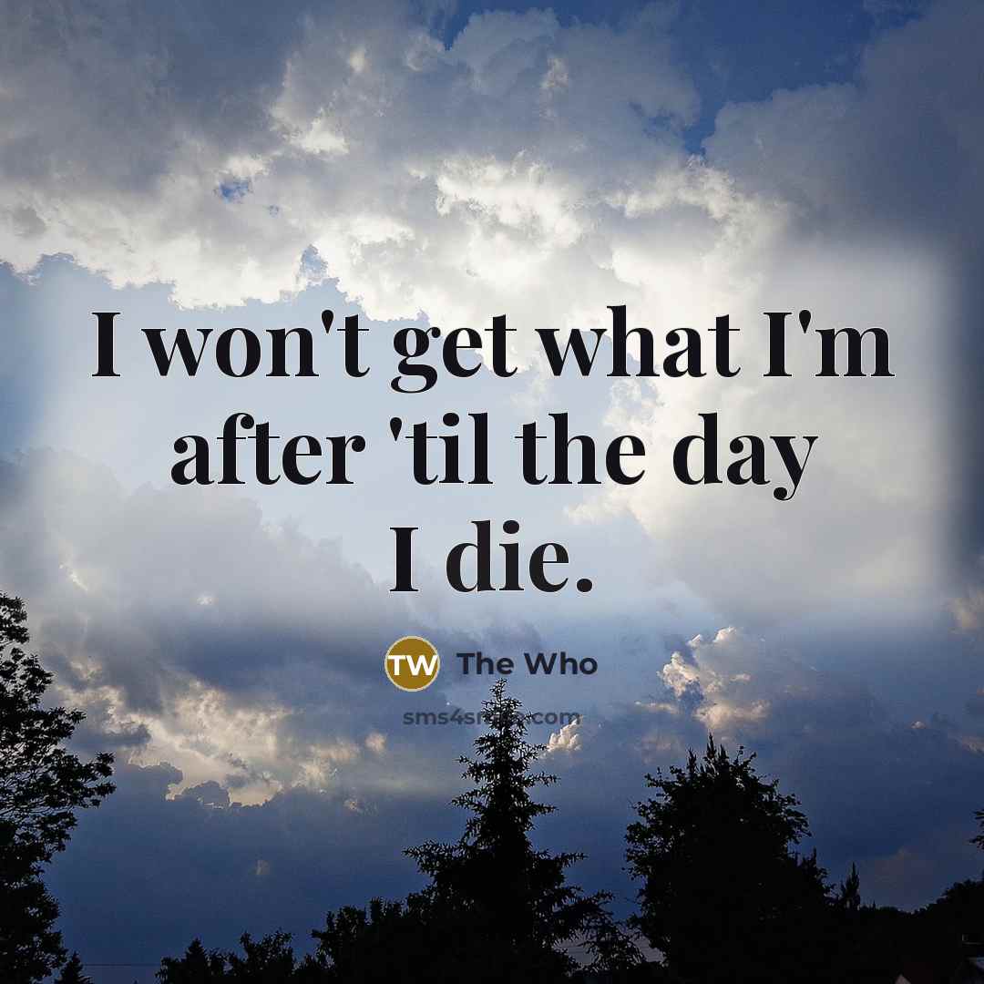 “I won't get what I'm after 'til the day I die.” quote by The Who