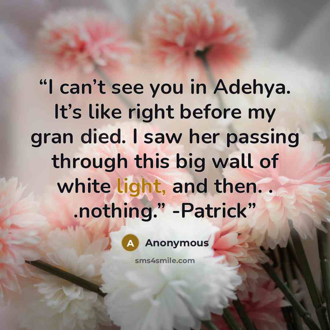 “I can’t see you in Adehya. It’s like right before my gran died. I saw her passing through this big wall of white light, and then. . .nothing.” -Patrick” quote by Anonymous