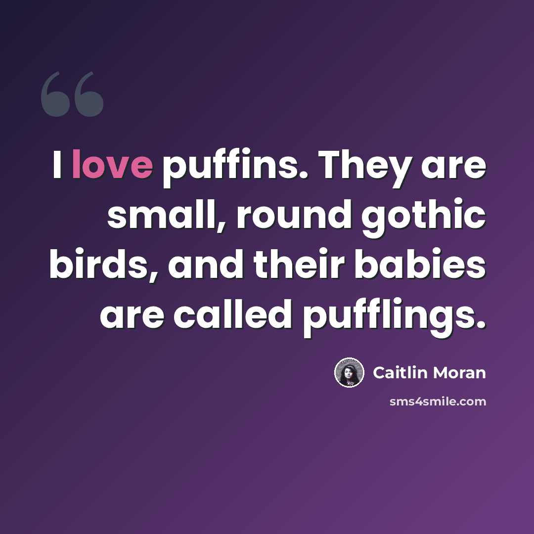 “I love puffins. They are small, round gothic birds, and their babies are called pufflings.” quote by Caitlin Moran