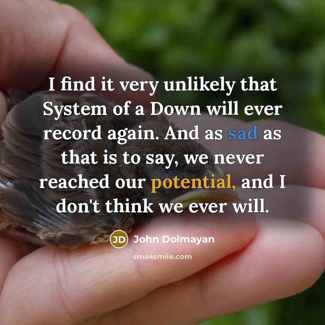 “I find it very unlikely that System of a Down will ever record again. And as sad as that is to say, we never reached our potential, and I don't think we ever will.” quote by John Dolmayan