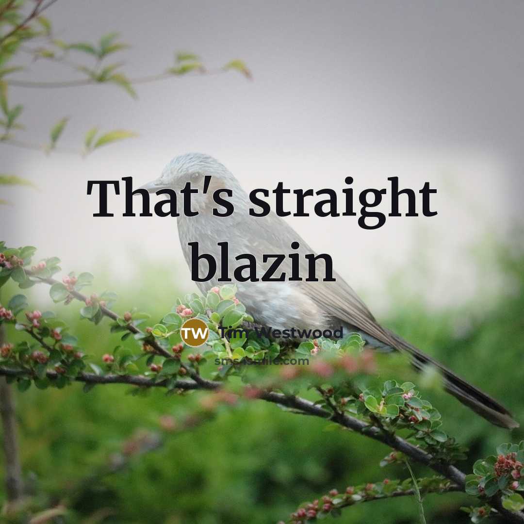 “That's straight blazin” quote by Tim Westwood