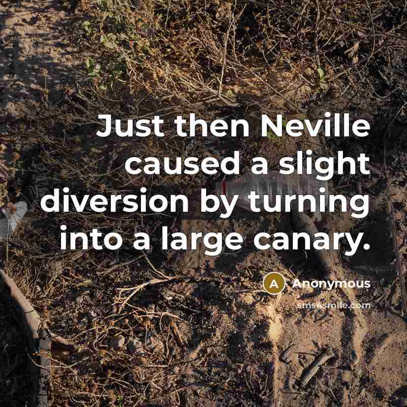 “Just then Neville caused a slight diversion by turning into a large canary.” quote by Anonymous