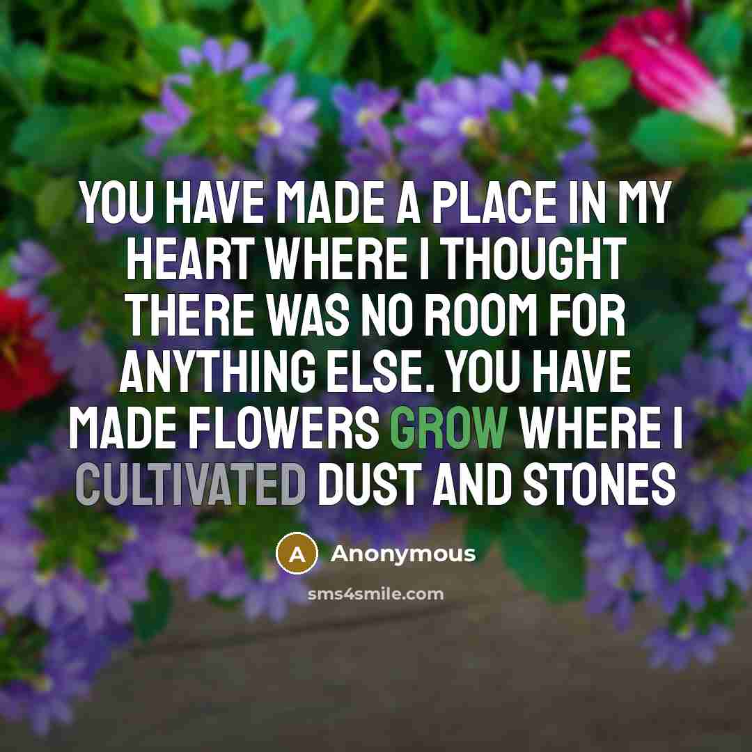“You have made a place in my heart where I thought there was no room for anything else. You have made flowers grow where I cultivated dust and stones” quote by Anonymous