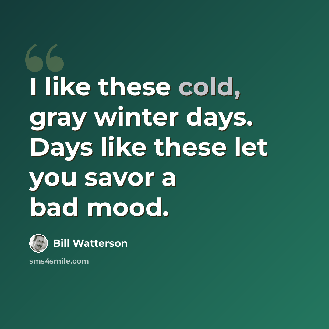 “I like these cold, gray winter days. Days like these let you savor a bad mood.” quote by Bill Watterson