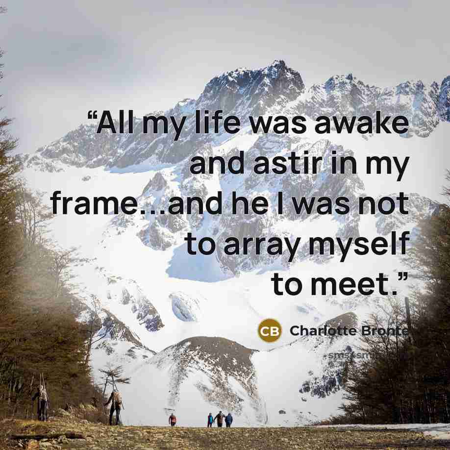 “All my life was awake and astir in my frame...and he I was not to array myself to meet.” quote by Charlotte Bronte