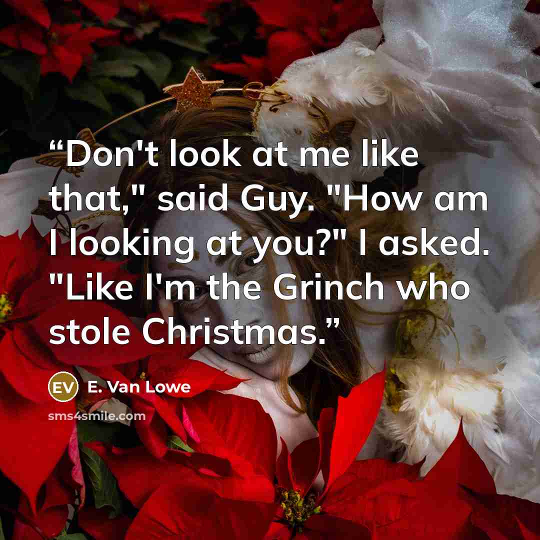 “Don't look at me like that," said Guy. "How am I looking at you?" I asked. "Like I'm the Grinch who stole Christmas.” quote by E. Van Lowe