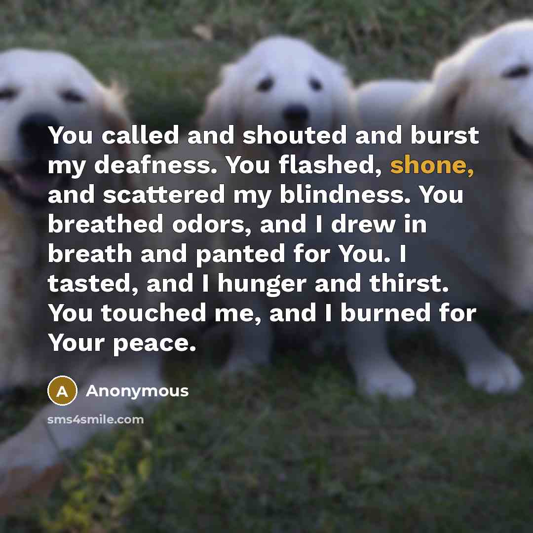 “You called and shouted and burst my deafness. You flashed, shone, and scattered my blindness. You breathed odors, and I drew in breath and panted for You. I tasted, and I hunger and thirst. You touched me, and I burned for Your peace.” quote by Anonymous
