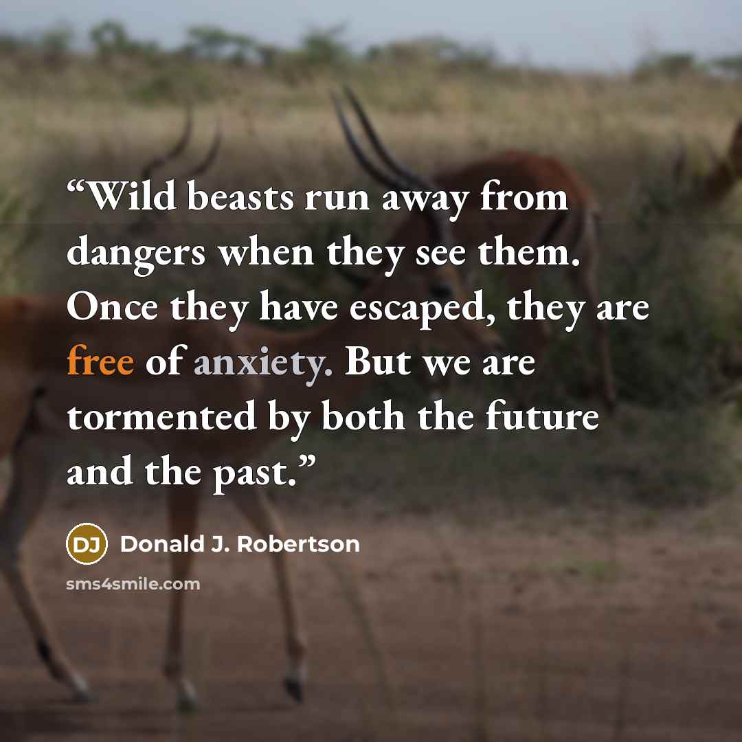 “Wild beasts run away from dangers when they see them. Once they have escaped, they are free of anxiety. But we are tormented by both the future and the past.” quote by Donald J. Robertson