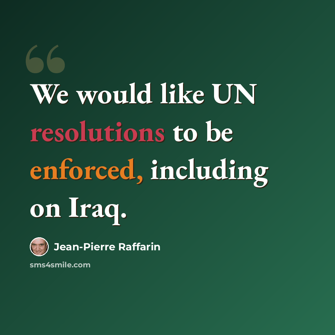 “We would like UN resolutions to be enforced, including on Iraq.” quote by Jean-Pierre Raffarin
