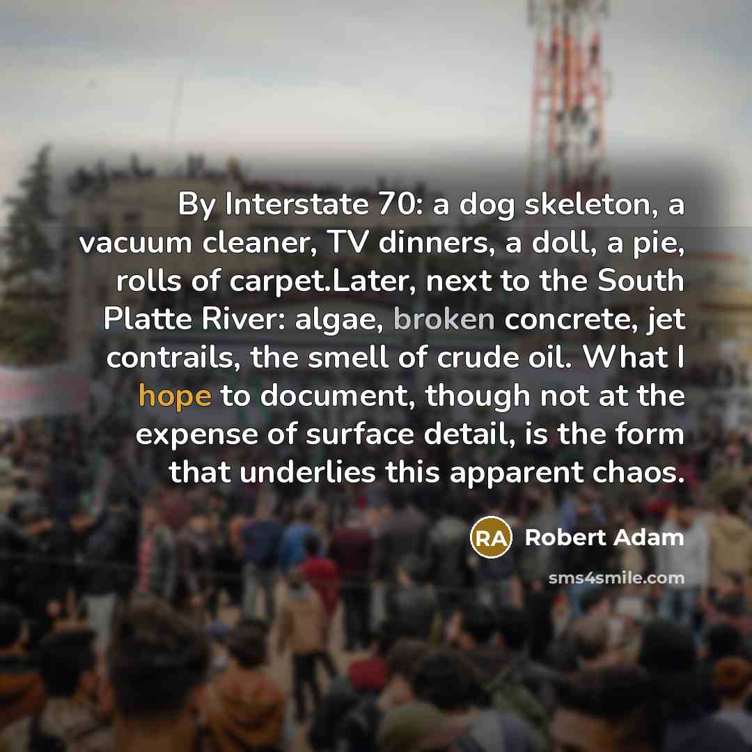 “By Interstate 70: a dog skeleton, a vacuum cleaner, TV dinners, a doll, a pie, rolls of carpet.Later, next to the South Platte River: algae, broken concrete, jet contrails, the smell of crude oil. What I hope to document, though not at the expense of surface detail, is the form that underlies this…” quote by Robert Adam