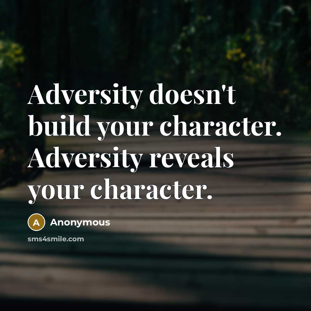 “Adversity doesn't build your character. Adversity reveals your character.” quote by Anonymous