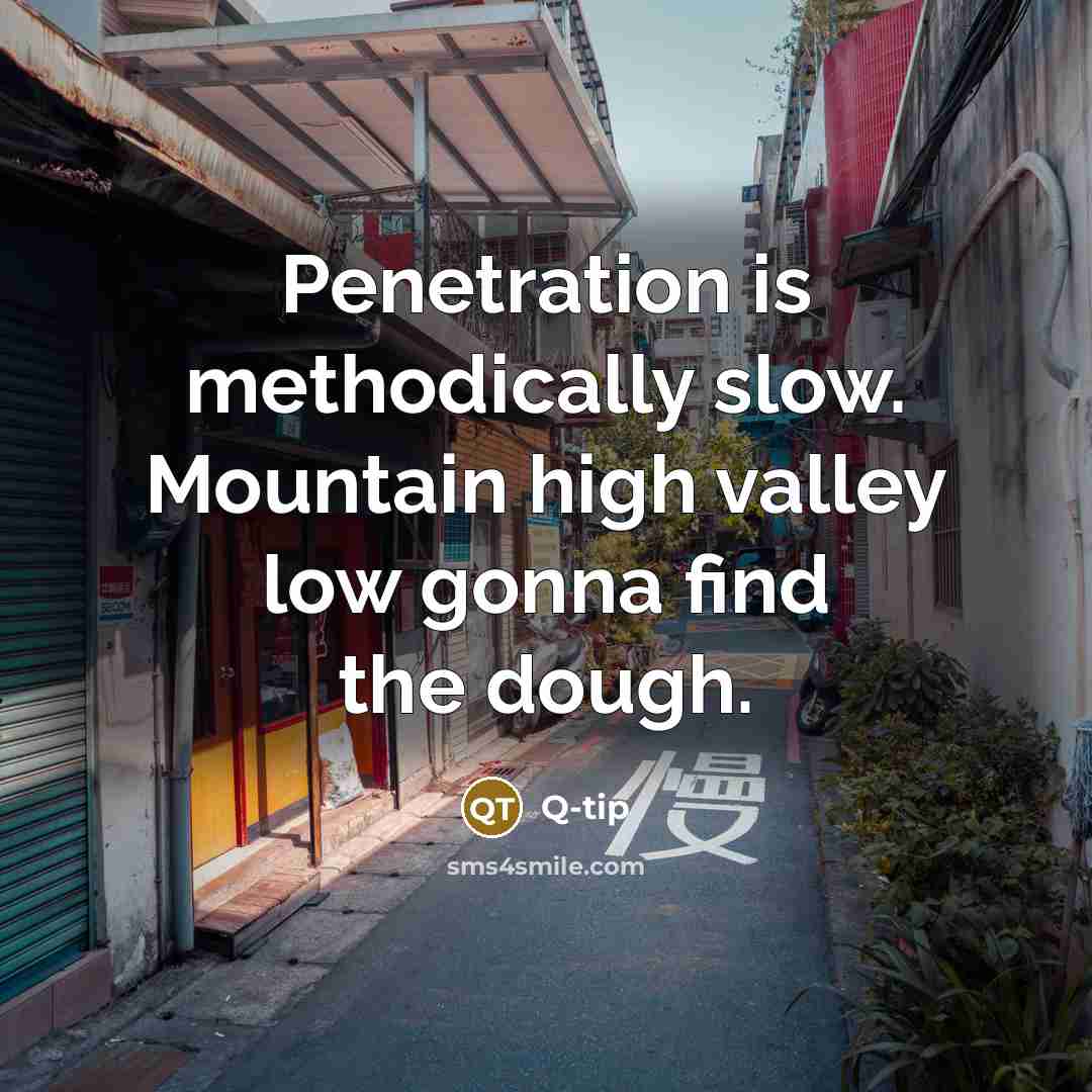 “Penetration is methodically slow. Mountain high valley low gonna find the dough.” quote by Q-tip
